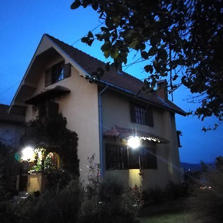 B&B Jonovic Donji Milanovac Dış mekan fotoğraf