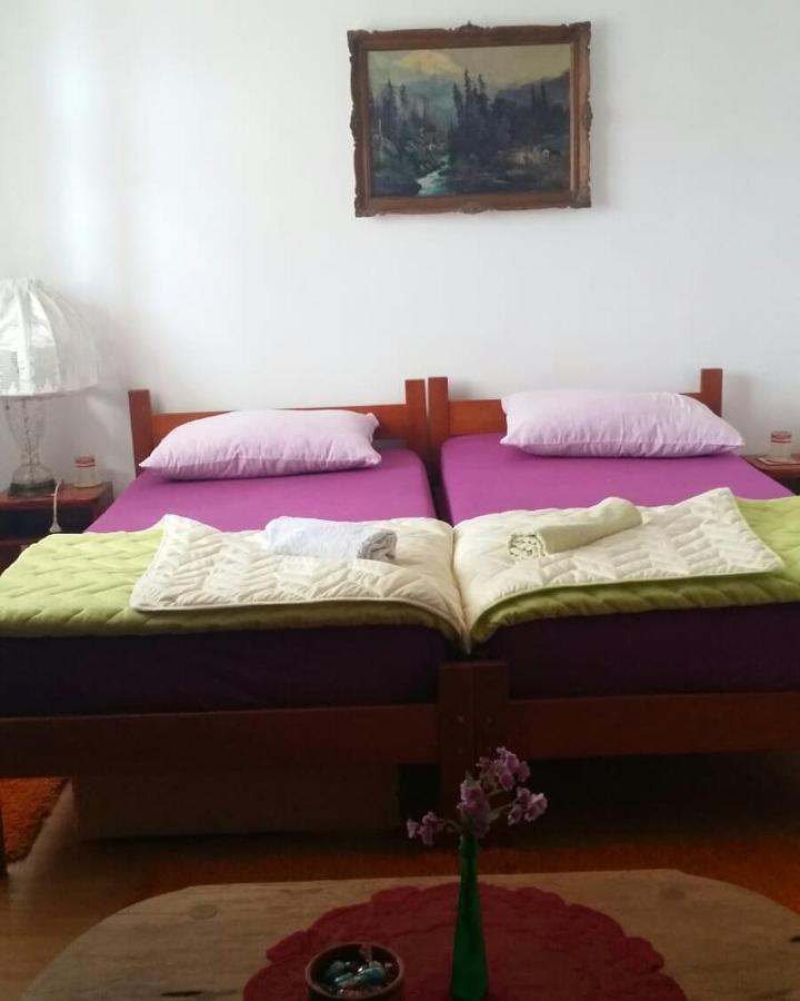 B&B Jonovic Donji Milanovac Dış mekan fotoğraf