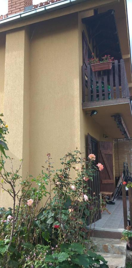 B&B Jonovic Donji Milanovac Dış mekan fotoğraf