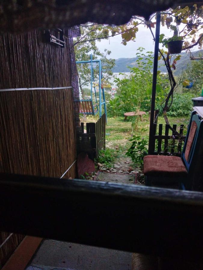 B&B Jonovic Donji Milanovac Dış mekan fotoğraf