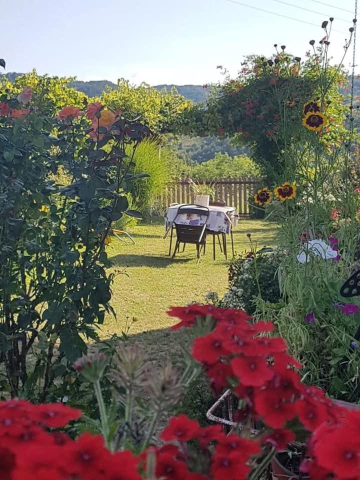 B&B Jonovic Donji Milanovac Dış mekan fotoğraf