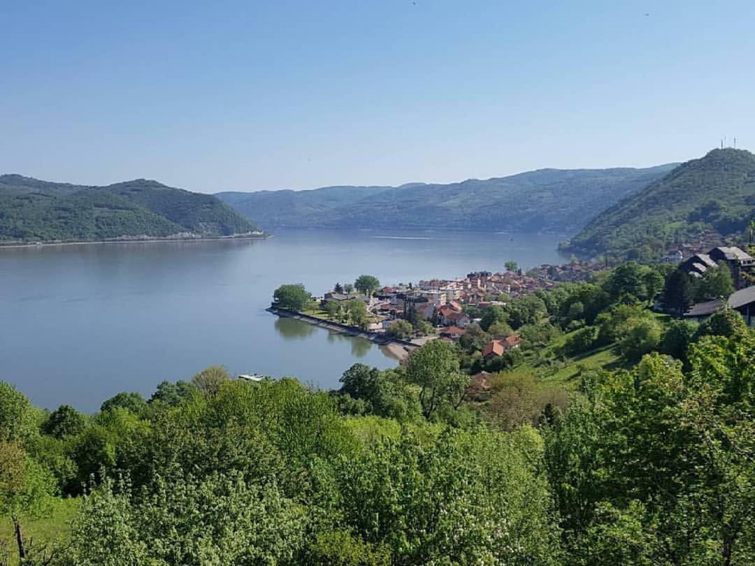 B&B Jonovic Donji Milanovac Dış mekan fotoğraf