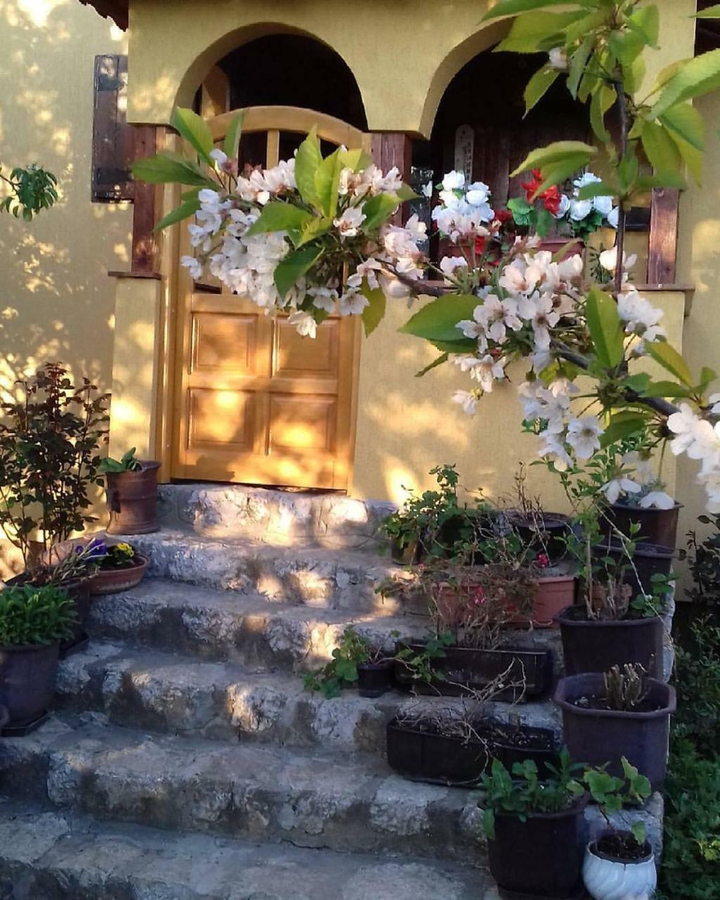 B&B Jonovic Donji Milanovac Dış mekan fotoğraf