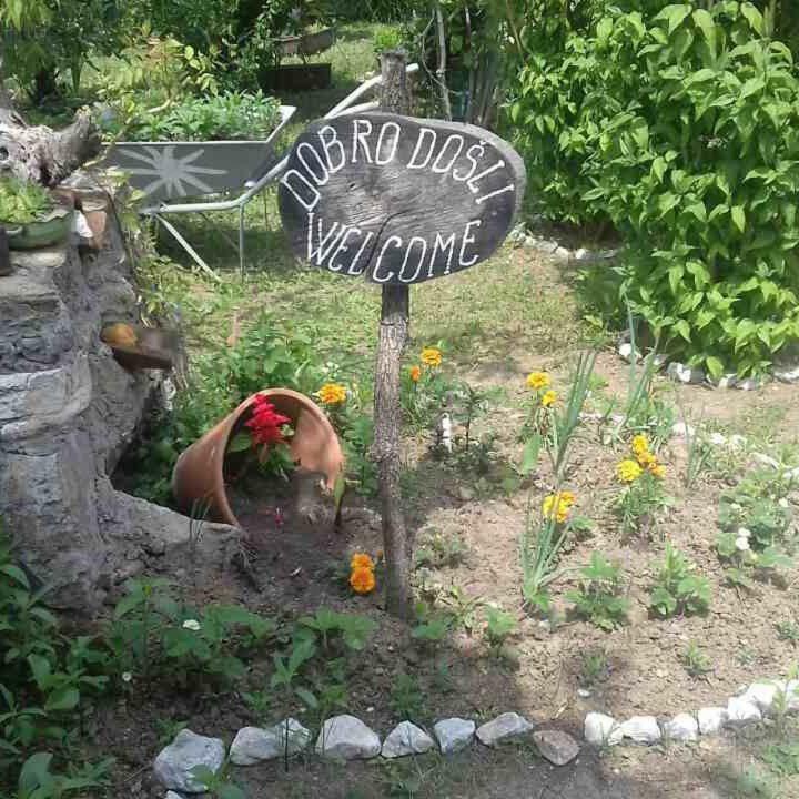 B&B Jonovic Donji Milanovac Dış mekan fotoğraf