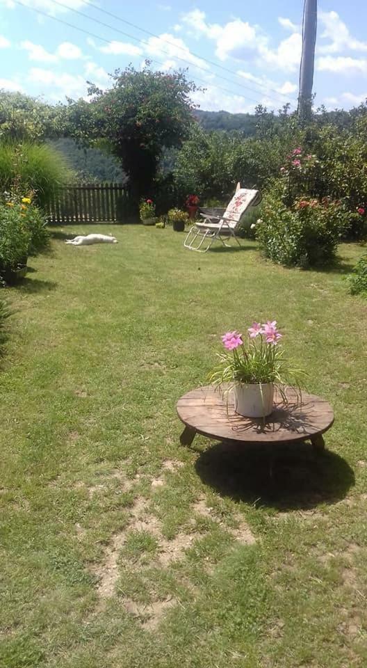 B&B Jonovic Donji Milanovac Dış mekan fotoğraf