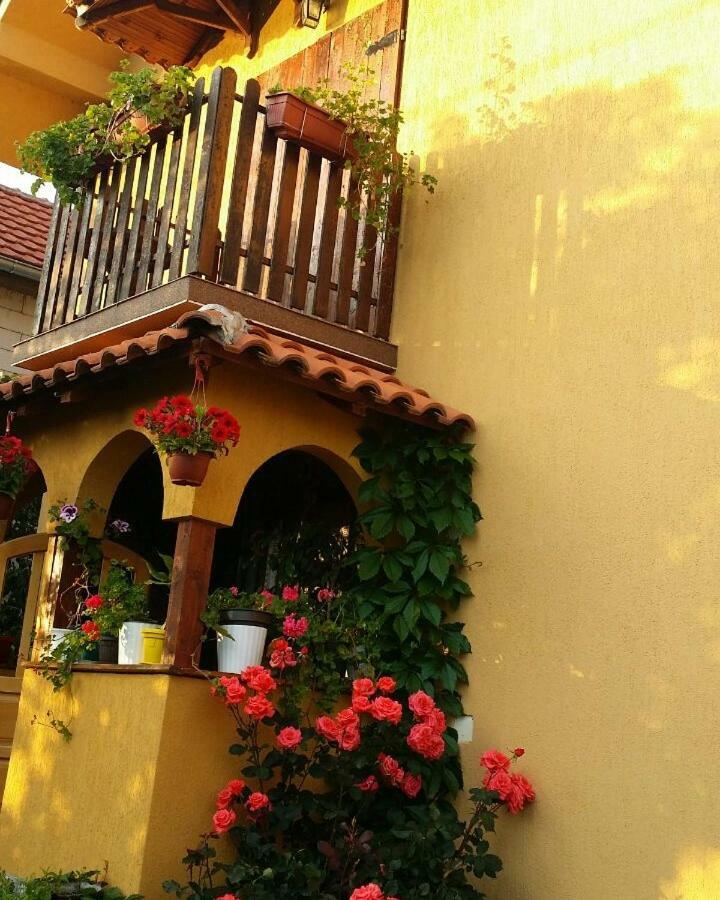 B&B Jonovic Donji Milanovac Dış mekan fotoğraf
