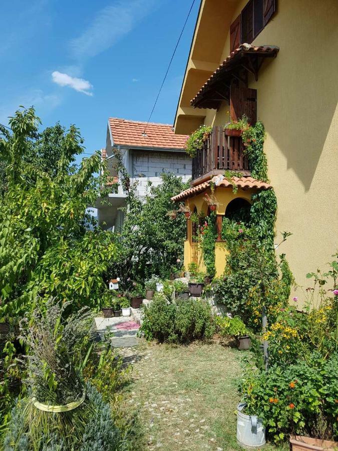 B&B Jonovic Donji Milanovac Dış mekan fotoğraf