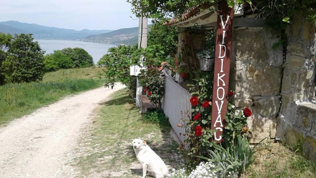 B&B Jonovic Donji Milanovac Dış mekan fotoğraf