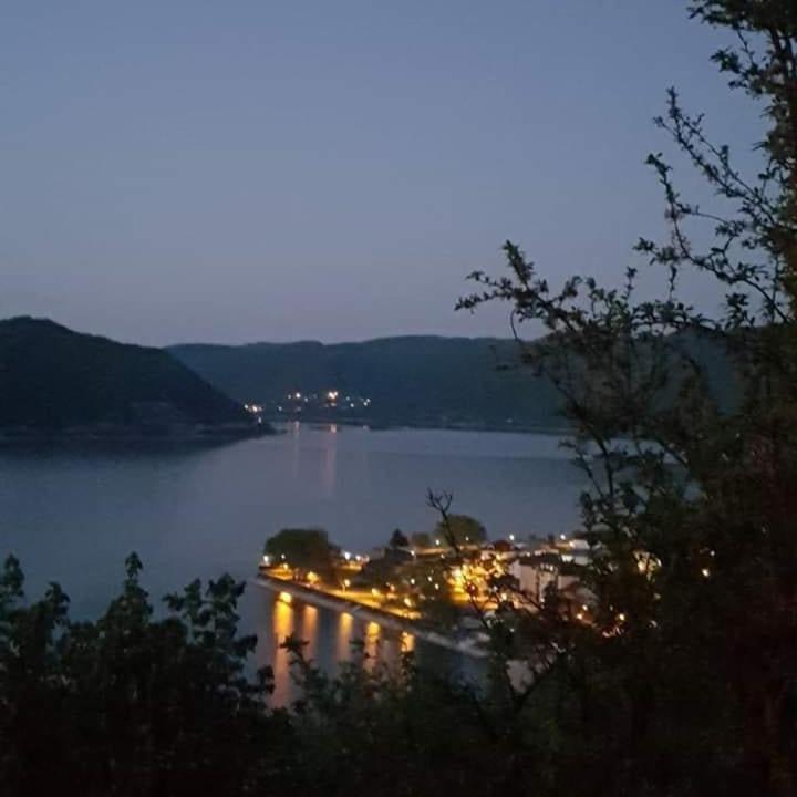 B&B Jonovic Donji Milanovac Dış mekan fotoğraf